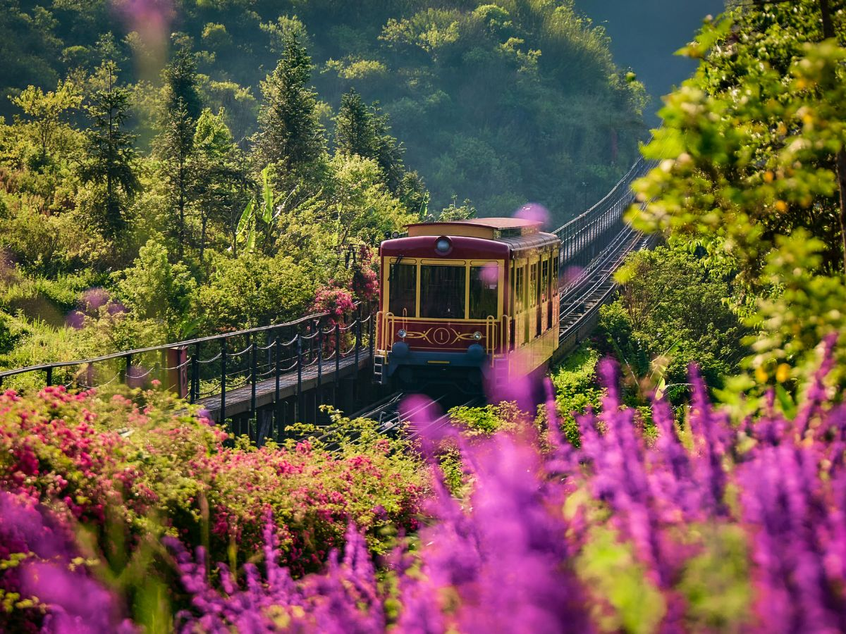 The red Muong Hoa mountain train travelling through the Sa Pa landscape