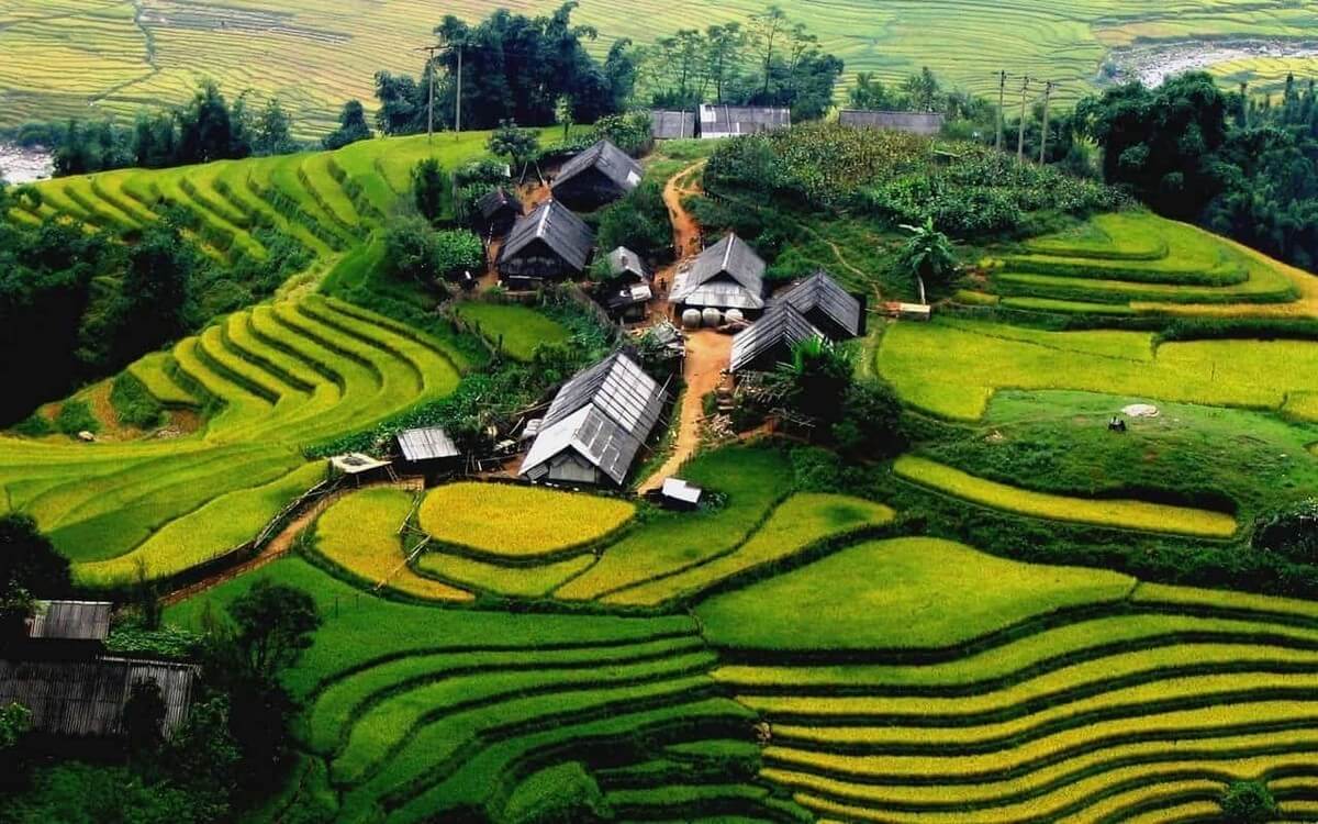 Tả Phìn village surrounded by bright terraced fields